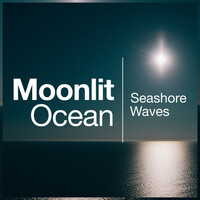 Thumbnail for the Seashore Waves - Moonlit Ocean link, provided by host site