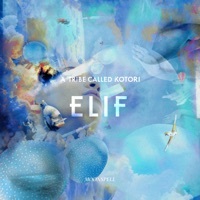 Image of Elif linking to their artist page due to link from them being at the top of the main table on this page