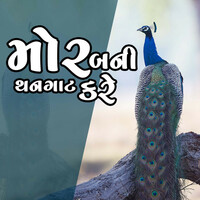Thumbnail for the Aditya Gadhvi - Mor Bani Thanghat Kare (Garba Medle) link, provided by host site