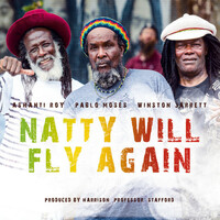 Thumbnail for the Pablo Moses - More Mandela link, provided by host site