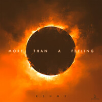 Thumbnail for the KSHMR - More Than A Feeling (Extended Mix) link, provided by host site