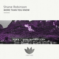 Thumbnail for the Shane Robinson - More Than You Know link, provided by host site