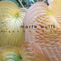 Thumbnail for the Marte Wulff - Morgensorgen link, provided by host site