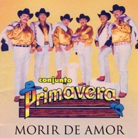 Thumbnail for the Conjunto Primavera - Morir De Amor link, provided by host site