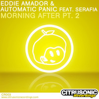 Thumbnail for the Eddie Amador - Morning After Part 2 link, provided by host site