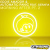 Thumbnail for the Eddie Amador - Morning After Part 2 link, provided by host site