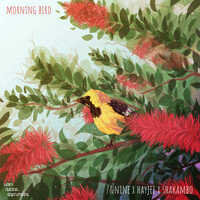 Thumbnail for the 7 - Morning Bird link, provided by host site