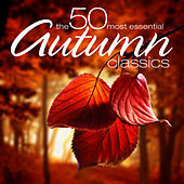 Thumbnail for the Peter Falk - Morning Leaves, Op. 279 link, provided by host site