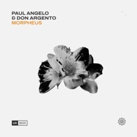 Thumbnail for the Paul Angelo - Morpheus link, provided by host site