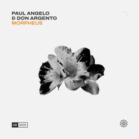 Thumbnail for the Paul Angelo - Morpheus link, provided by host site