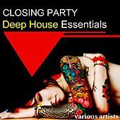Thumbnail for the Bobby Deep - Morpheus (Ariel Curtis & Terry Bag Remix) link, provided by host site