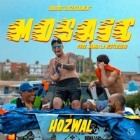Thumbnail for the Hozwal - Mosaic link, provided by host site