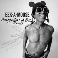 Thumbnail for the Eek-A-Mouse - Mosquito Dem A Bite link, provided by host site
