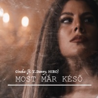 Thumbnail for the Ginoka - Most Már Késő link, provided by host site
