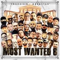 Thumbnail for the Preussisch Gangstar - Most Wanted 6 link, provided by host site