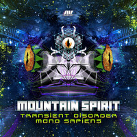 Thumbnail for the Transient Disorder - Mountain Spirit link, provided by host site