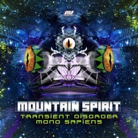 Thumbnail for the Transient Disorder - Mountain Spirit link, provided by host site