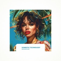Thumbnail for the Domestic Technology - Mountain View link, provided by host site