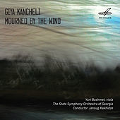 Thumbnail for the Yuri Bashmet - Mourned by the Wind: I. Molto largo link, provided by host site