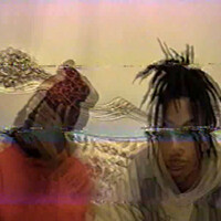 Thumbnail for the Wakai - mourning cage link, provided by host site