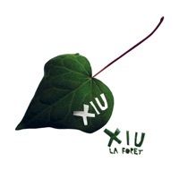 Thumbnail for the Xiu Xiu - Mouse Toy link, provided by host site