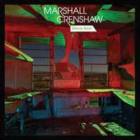 Image of Marshall Crenshaw linking to their artist page due to link from them being at the top of the main table on this page