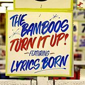 Thumbnail for the the Bamboos - Move On link, provided by host site