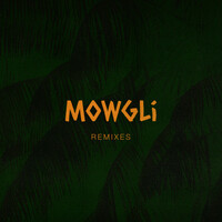 Thumbnail for the ShiShi - Mowgli (Remixes) link, provided by host site