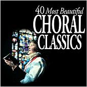 Thumbnail for the Edward Higginbottom - Mozart : Ave verum corpus K618 link, provided by host site