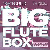 Thumbnail for the Paula Robison - MOZART: Flute Quartet No.3 in C, K.285b: I. Allegro link, provided by host site
