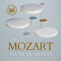 Thumbnail for the The Nash Ensemble - Mozart: Flute Quartets link, provided by host site