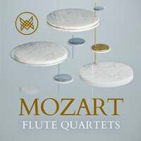 Thumbnail for the The Nash Ensemble - Mozart: Flute Quartets link, provided by host site