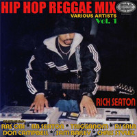 Thumbnail for the Sam Bailey - Mr Dancehall link, provided by host site