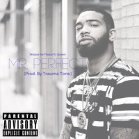 Thumbnail for the Flippa - Mr. Perfect link, provided by host site