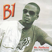 Thumbnail for the B-1 - Mr Perfecto Ndise Chabe Vipuba link, provided by host site