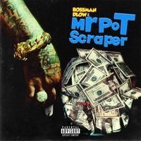 Thumbnail for the BossMan Dlow - Mr Pot Scraper (Official Audio) link, provided by host site