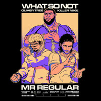Thumbnail for the What So Not - Mr Regular link, provided by host site