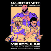 Thumbnail for the What So Not - Mr Regular link, provided by host site