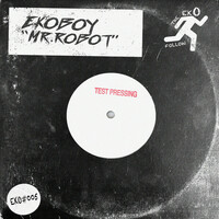 Thumbnail for the Ekoboy - Mr. Robot link, provided by host site