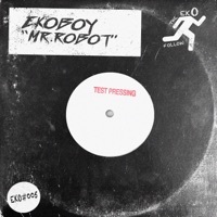 Thumbnail for the Ekoboy - Mr. Robot link, provided by host site