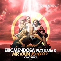 Thumbnail for the Eric Mendosa - Mr Vain [VAVO Remix] link, provided by host site