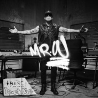Thumbnail for the Wisin - Mr. W link, provided by host site