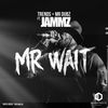 Thumbnail for the Trends - Mr Wait link, provided by host site