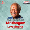 Thumbnail for the T. V. Gopalakrishnan - Mridangam Laya Sudha link, provided by host site