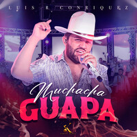 Thumbnail for the Luis R Conriquez - Muchacha Guapa link, provided by host site