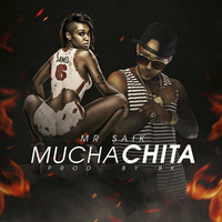 Thumbnail for the Mr. Saik - Muchachita link, provided by host site