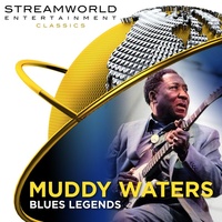 Image of Muddy Waters linking to their artist page due to link from them being at the top of the main table on this page
