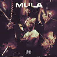 Thumbnail for the Hamma - Mula link, provided by host site