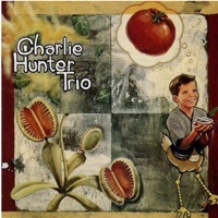 Thumbnail for the Charlie Hunter Trio - Mule link, provided by host site