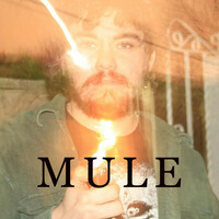 Thumbnail for the Loris - MULE link, provided by host site